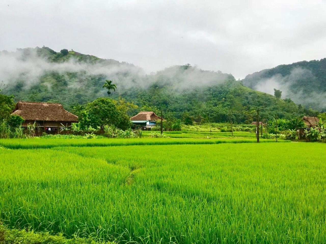 Xoi Farmstay - Eco Homestay Luc Yen Yen Bai ภายนอก รูปภาพ