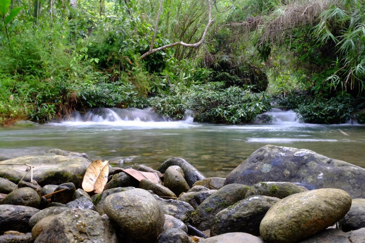 Xoi Farmstay - Eco Homestay Luc Yen Yen Bai ภายนอก รูปภาพ