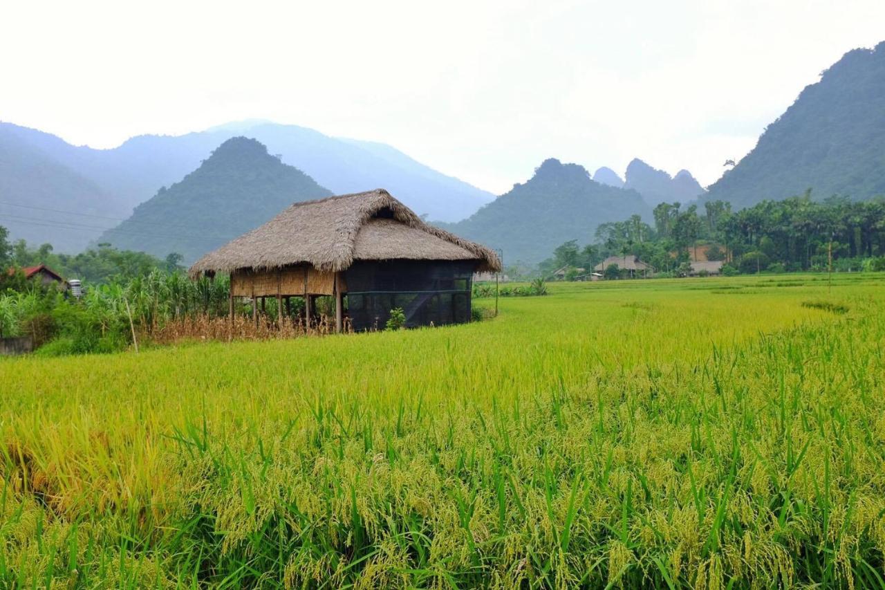 Xoi Farmstay - Eco Homestay Luc Yen Yen Bai ภายนอก รูปภาพ