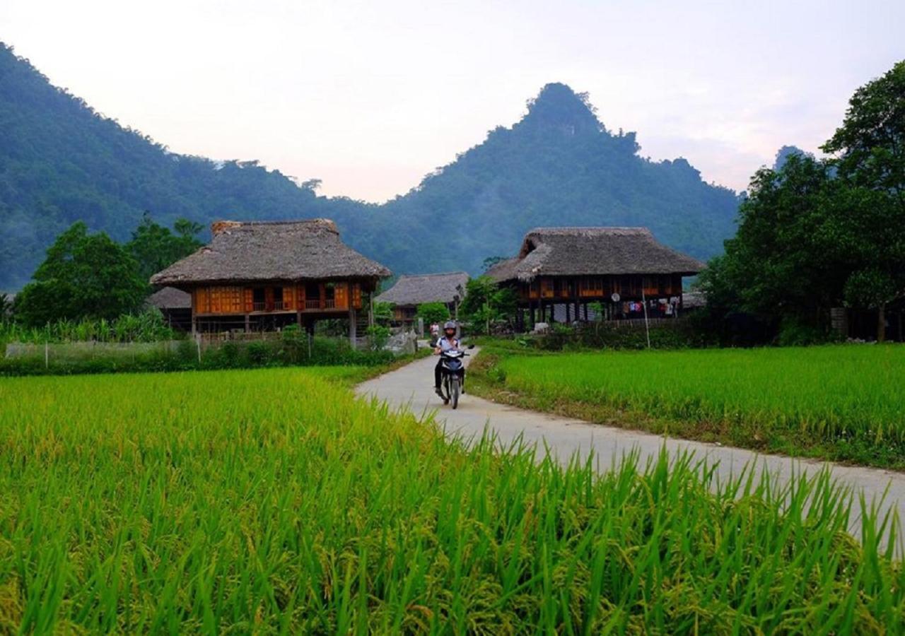 Xoi Farmstay - Eco Homestay Luc Yen Yen Bai ภายนอก รูปภาพ