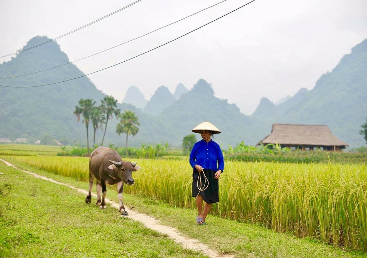 Xoi Farmstay - Eco Homestay Luc Yen Yen Bai ภายนอก รูปภาพ