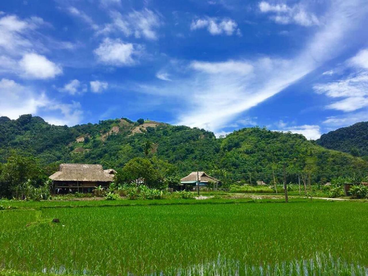 Xoi Farmstay - Eco Homestay Luc Yen Yen Bai ภายนอก รูปภาพ