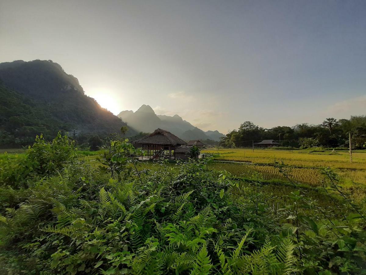 Xoi Farmstay - Eco Homestay Luc Yen Yen Bai ภายนอก รูปภาพ